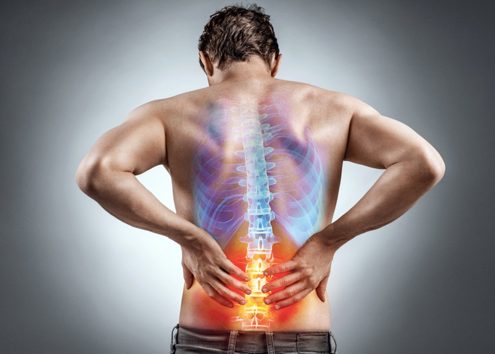 new research on back pain
